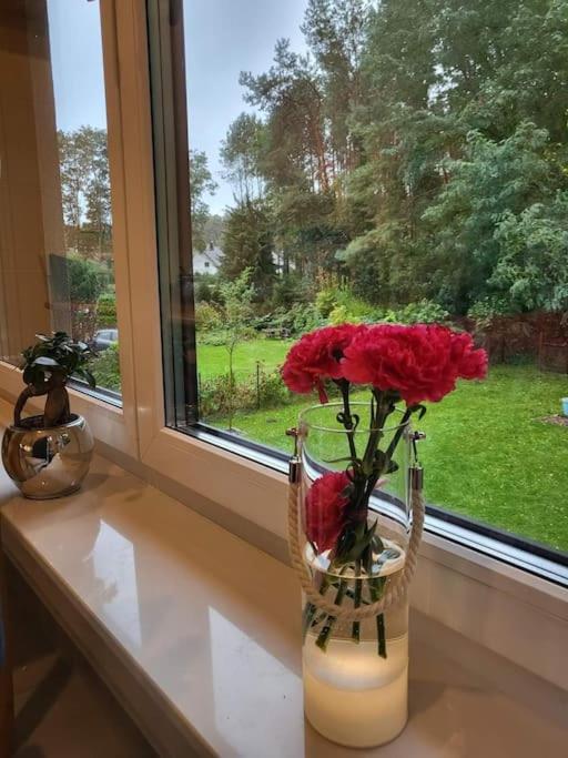 Haus Am Walde Apartment Mullrose Bagian luar foto