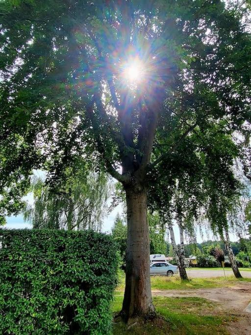 Haus Am Walde Apartment Mullrose Bagian luar foto