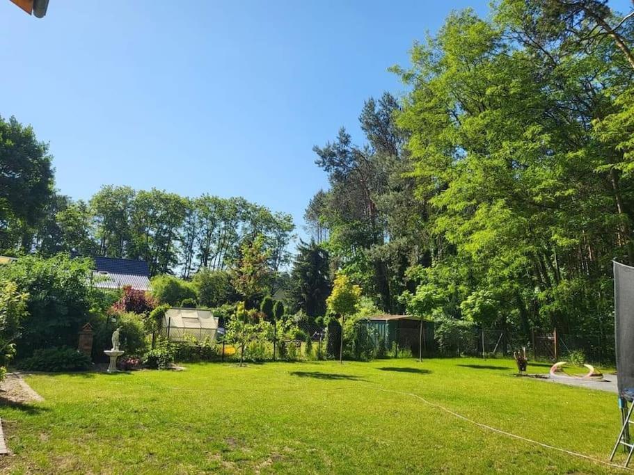 Haus Am Walde Apartment Mullrose Bagian luar foto